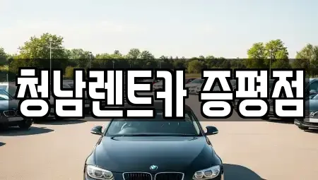 충북 증평군 증평읍 렌트카 전문 청남렌트카 증평점