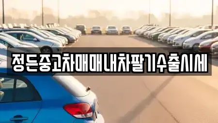 충북 청주시 상당구 낭성면 중고차매매 전문 정든중고차매매내차팔기수출시세