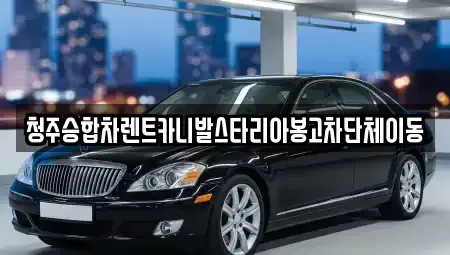충북 청주시 상당구 산성동 렌트카 전문 청주승합차렌트카니발스타리아봉고차단체이동