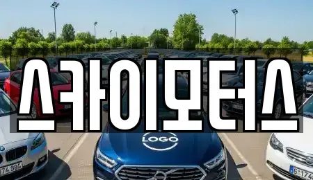 충북 청주시 상당구 용정동 중고차매매 전문 스카이모터스