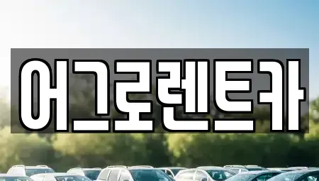 충북 청주시 상당구 평촌동 렌트카 전문 어그로렌트카