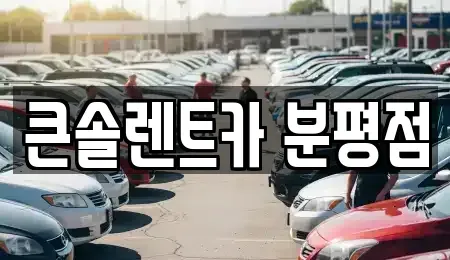 충북 청주시 상당구 평촌동 렌트카 전문 큰솔렌트카 분평점