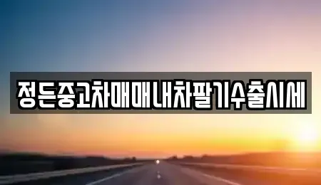 충북 청주시 상당구 평촌동 중고차매매 전문 정든중고차매매내차팔기수출시세