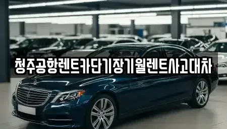 충북 청주시 흥덕구 강서동 단기렌트카 전문 청주공항렌트카단기장기월렌트사고대차