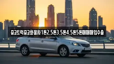 충북 청주시 흥덕구 강서동 중고차매매 전문 중고트럭중고화물차1톤2.5톤3.5톤4.5톤5톤매매매입수출