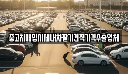 충북 청주시 흥덕구 강서동 중고차매입 전문 중고차매입시세내차팔기견적가격수출업체
