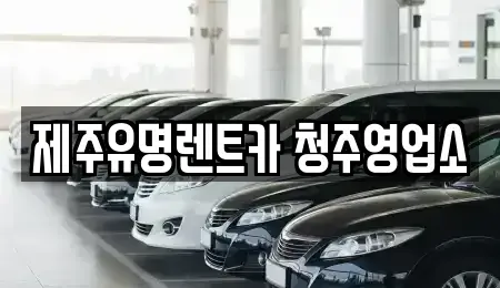 충북 청주시 흥덕구 화계동 렌트카 전문 제주유명렌트카 청주영업소