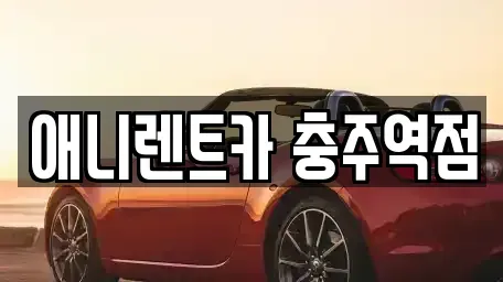 충북 충주시 봉방동 렌트카 전문 애니렌트카 충주역점