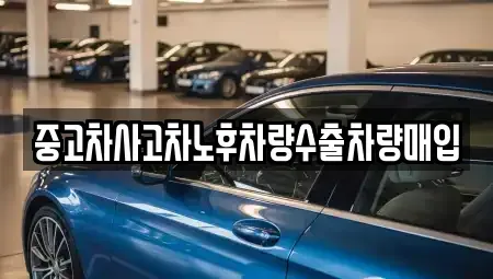 충북 충주시 봉방동 중고차 전문 중고차사고차노후차량수출차량매입