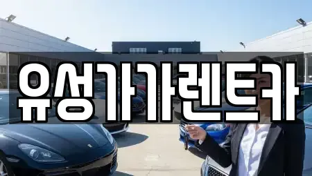 충청남도 계룡시 신도안면 렌트카 전문 유성가가렌트카