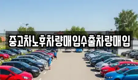 충청남도 계룡시 신도안면 중고차매매 전문 중고차노후차량매입수출차량매입