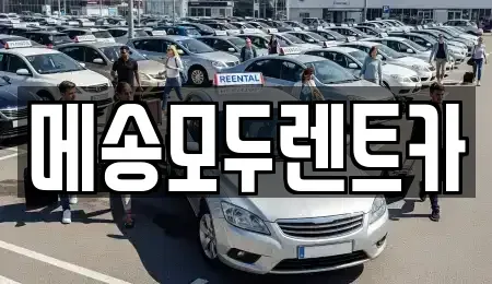 충청남도 공주시 교동 렌트카 전문 메송모두렌트카