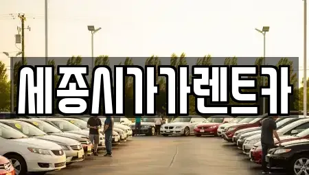 충청남도 공주시 단기렌트카 전문 세종시가가렌트카