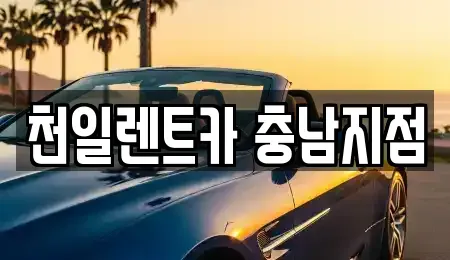 충청남도 공주시 단기렌트카 전문 천일렌트카 충남지점