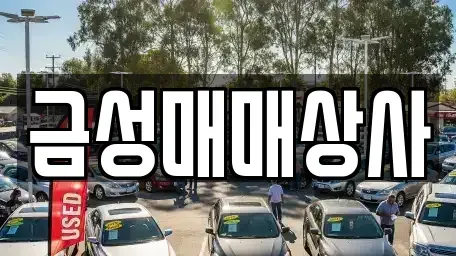 충청남도 논산시 대교동 중고차매매 전문 금성매매상사