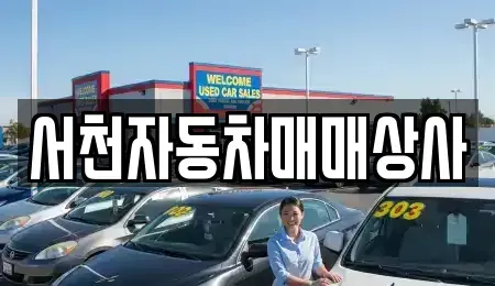 충청남도 서천군 서천읍 중고차 전문 서천자동차매매상사