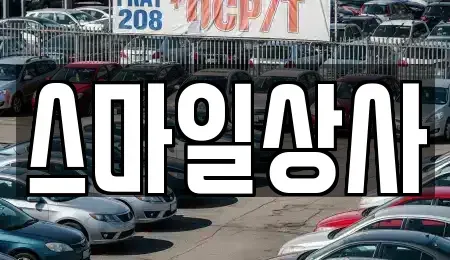 충청남도 서천군 서천읍 중고차 전문 스마일상사