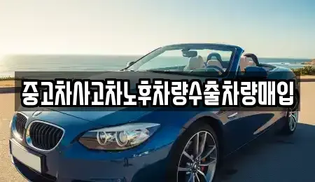 충청남도 서천군 서천읍 중고차 전문 중고차사고차노후차량수출차량매입