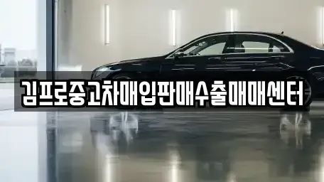 충청남도 서천군 서천읍 중고차매입 전문 김프로중고차매입판매수출매매센터