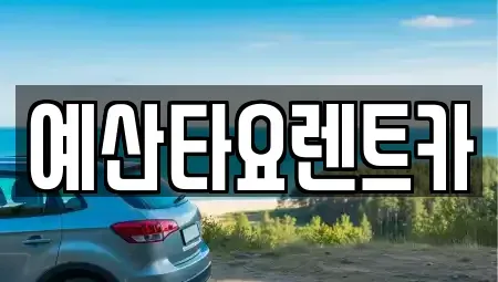 충청남도 예산군 덕산면 렌트카 전문 예산타요렌트카