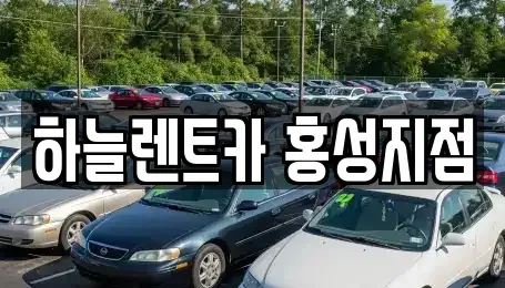 충청남도 예산군 덕산면 렌트카 전문 하늘렌트카 홍성지점