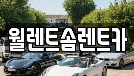 충청남도 천안시 서북구 쌍용동 렌트카 전문 월렌트솜렌트카