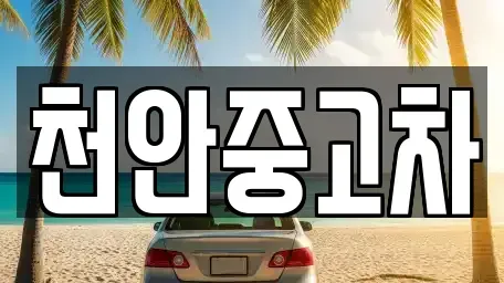 충청남도 천안시 서북구 쌍용동 중고차 전문 천안중고차