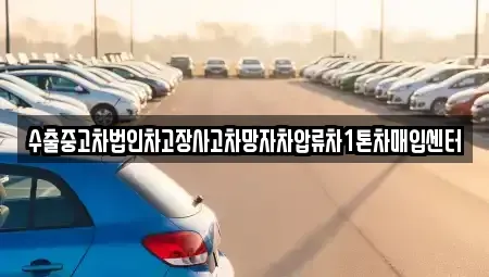 충청북도 보은군 속리산면 장기렌트카,중고차,렌트카,단기렌트카,중고차매입,중고차매매