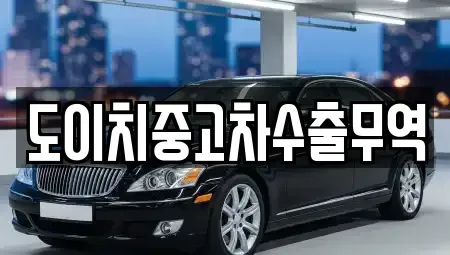 충청북도 진천군 이월면 중고차 전문 도이치중고차수출무역