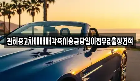 충청북도 청주시 청원구 외하동 중고차매매 전문 관허중고차매매매각즉시송금당일이전무료출장견적
