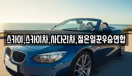 충청북도 청주시 청원구 외하동 중고차매입 전문 스카이,스카이차,사다리차,젊은일꾼우승연합