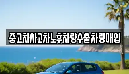충청북도 청주시 청원구 외하동 중고차매입 전문 중고차사고차노후차량수출차량매입