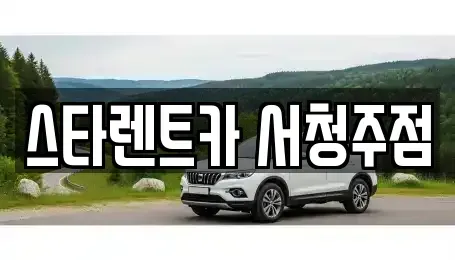 충청북도 청주시 청원구 정하동 렌트카 전문 스타렌트카 서청주점
