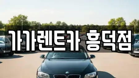 충청북도 청주시 흥덕구 렌트카,단기렌트카,장기렌트카,중고차,중고차매매,중고차매입