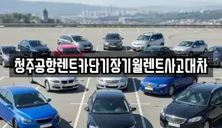 충청북도 청주시 흥덕구 비하동 단기렌트카 전문 청주공항렌트카단기장기월렌트사고대차