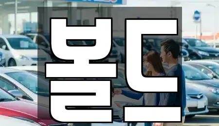 충청북도 청주시 흥덕구 비하동 렌트카 전문 볼드