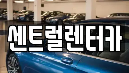 충청북도 청주시 흥덕구 비하동 렌트카 전문 센트럴렌터카