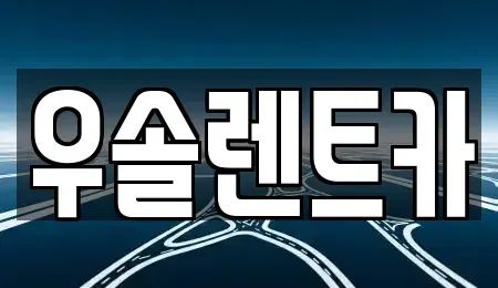 충청북도 청주시 흥덕구 수의동 렌트카 전문 우솔렌트카