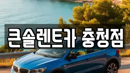 충청북도 청주시 흥덕구 수의동 렌트카 전문 큰솔렌트카 충청점