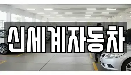 충청북도 청주시 흥덕구 수의동 중고차 전문 신세계자동차