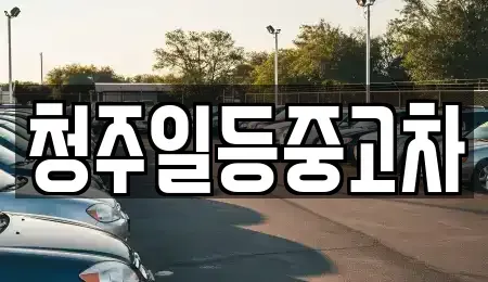충청북도 청주시 흥덕구 수의동 중고차 전문 청주일등중고차