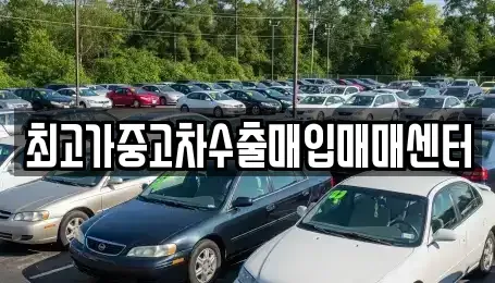 충청북도 청주시 흥덕구 중고차 전문 최고가중고차수출매입매매센터